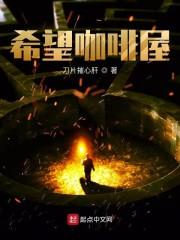 藍(lán)愿秦淮封面