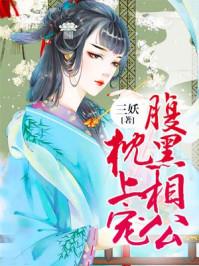 他會(huì)萬(wàn)米高空修飛機(jī)封面