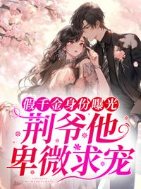 蘇墨荊北霆免費閱讀封面