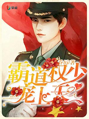 沐雨瀾南懷安封面