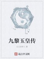 熱文小說雙生花封面