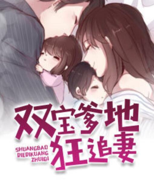 雙寶爹地狂追妻封面