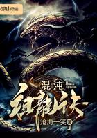 混沌祖龍?jiān)E封面