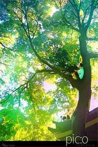 那就是喜歡陶意云季淵封面