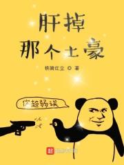 藍愿秦淮是什么小說封面