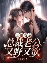 二婚成寵:總裁老公又野又欲封面