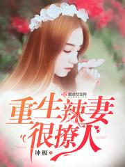 重生辣妻很撩人封面