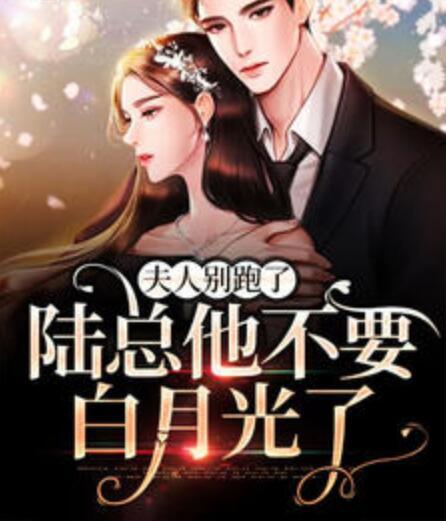 夫人別跑了，陸總他不要白月光了封面