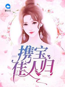 陸總，夫人說這婚遲早要離精品文封面