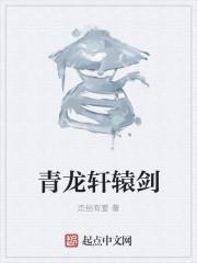 林瑾穗宴賜楓小說封面