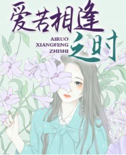 愛(ài)若相逢之時(shí)封面