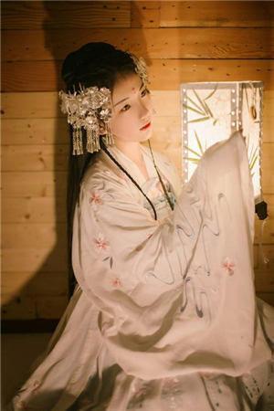 趙平安葉姚晴小說封面