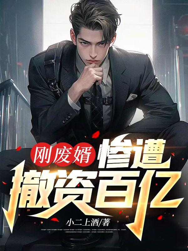 寧北安可欣的小說叫什么名字封面