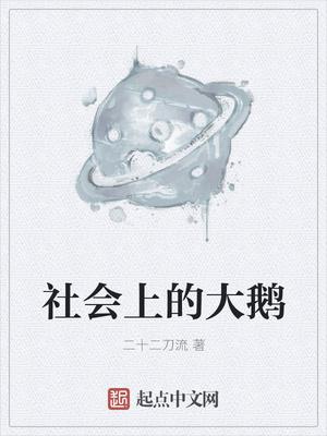 秦瑜州沈苡安封面