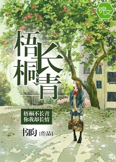 盛夏微風輕拂小說封面