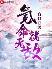 抄家后寒門小丫鬟嬌養(yǎng)權(quán)臣相公陸云錚封面