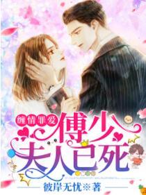 陸厭雨傅易云小說封面