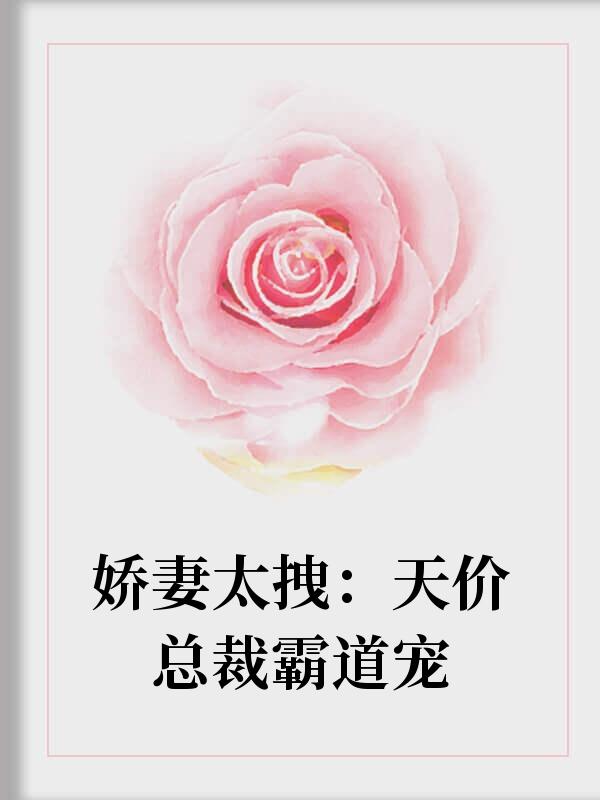 許檸瑯盛淮南名封面