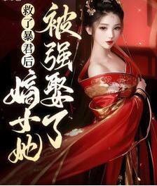 初棠司徒瑾琰封面