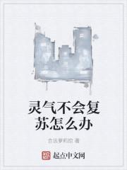 南煙記免費閱讀封面