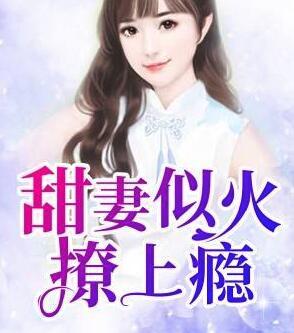 甜妻似火撩上癮封面