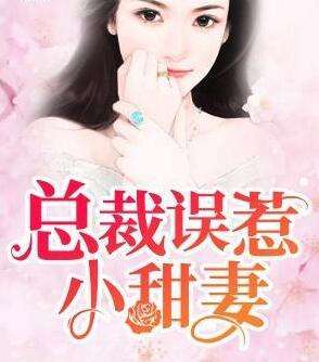 總裁誤惹小甜妻封面