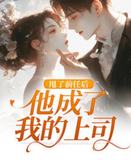 安星辰陸晏舟小說(shuō)封面