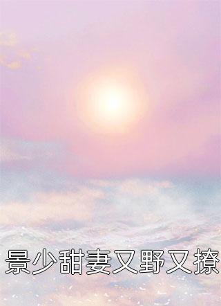 景少甜妻又野又撩封面