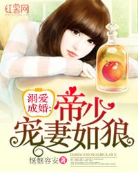 沈菀沈承霄小說全文封面