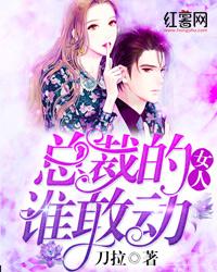 傅寒夜沈念沈念傅寒夜封面