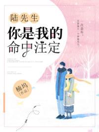 嫁給前夫死對(duì)頭：我懷了，他瘋了！大結(jié)局封面