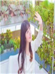 閃婚后,禁欲蛇夫夜夜纏歡小說完整版封面