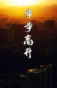 拒絕你嫁鳳凰男，你管這叫惡人新書(shū)封面