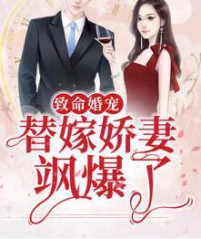 姜月陸靳寒封面