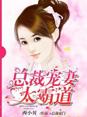 獨(dú)家日記肖逸江文婉封面