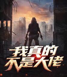 我真的不是大佬封面