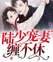 陸少寵妻纏不休封面