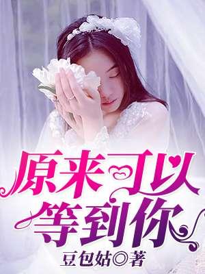 全文小說(shuō)陸依檸傅郴封面