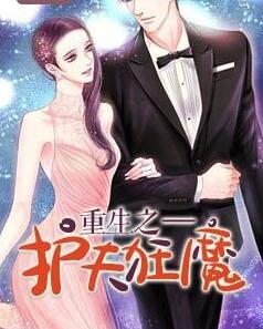 重生之護夫狂魔封面