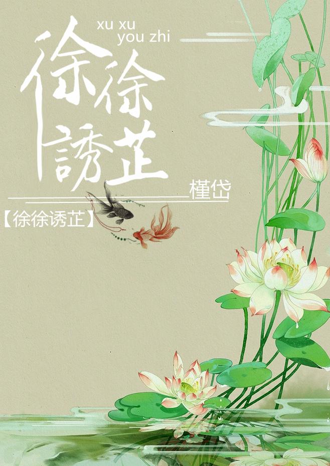 荒島歷險(xiǎn)丁昊封面