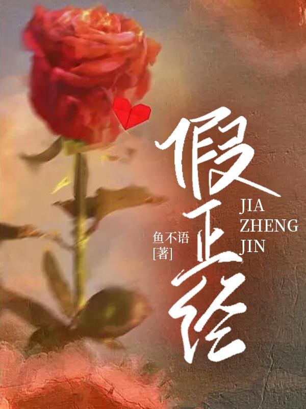假正經(jīng)封面
