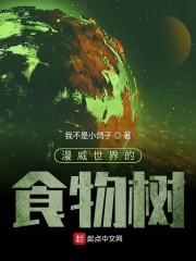 一夢(mèng)如初免費(fèi)全文閱讀封面