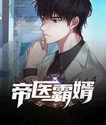 帝醫(yī)霸婿封面