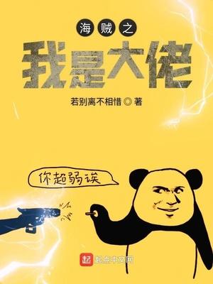 霍斯年洛向晚是什么小說封面