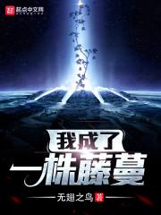 學(xué)姐，余生請多指教封面