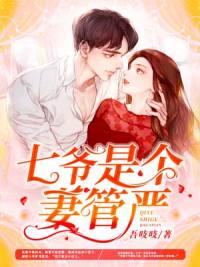 七爺是個妻管嚴(yán)封面