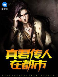 葉楚月休夫軒轅宸封面