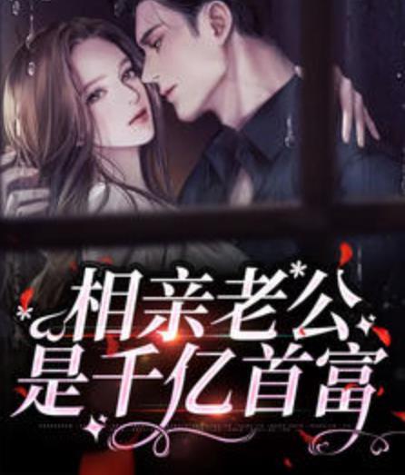 相親誤嫁閃婚老公超有錢小說(shuō)封面