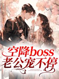 空降boss老公寵不停封面