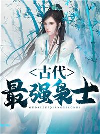 林云葉婉清的小說(shuō)封面